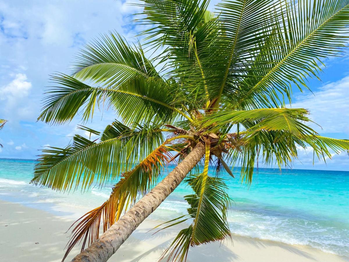 Tme Retreats Dhigurah Hotell Dhigurah  Exteriör bild