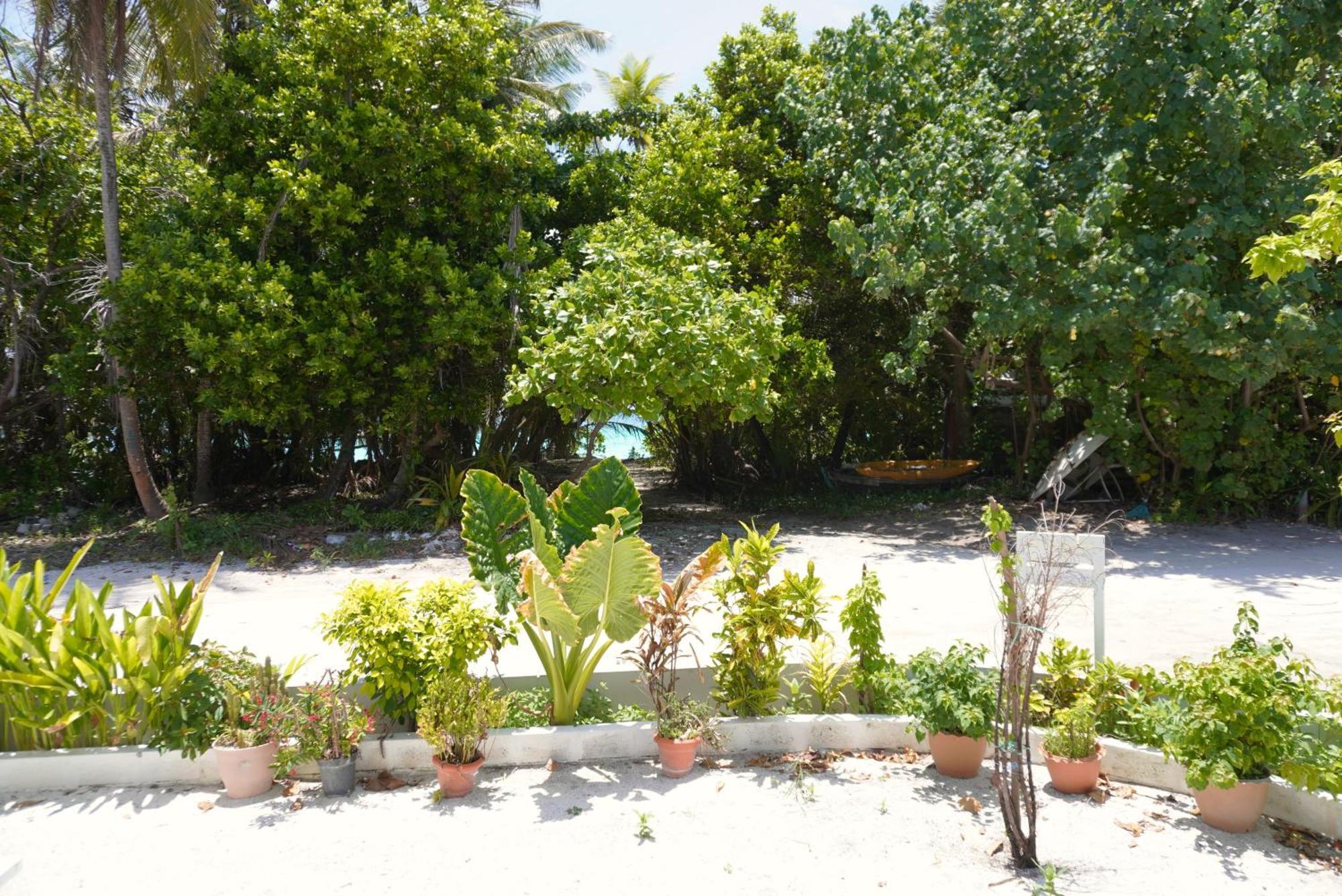 Tme Retreats Dhigurah Hotell Dhigurah  Exteriör bild